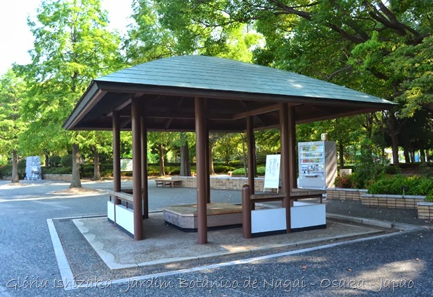 Glória Ishizaka - Jardim Botânico Nagai - Osaka 38