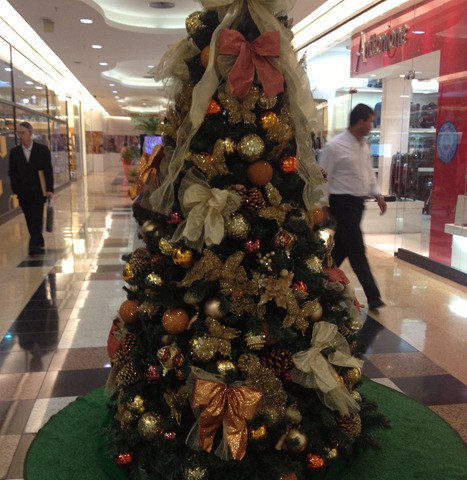 [IMG_3378%255B14%255D.jpg]