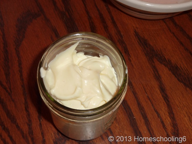 Homemade Mayo Homemade Mayo