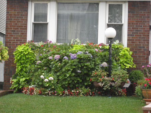 Neat, tidy, and thoroughly unexpected in the city - wouldn't you like to have these gardeners as your neighbor?