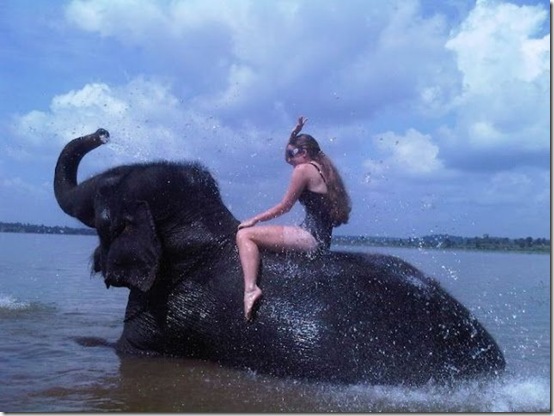 viral-picdump-pics-656a0e