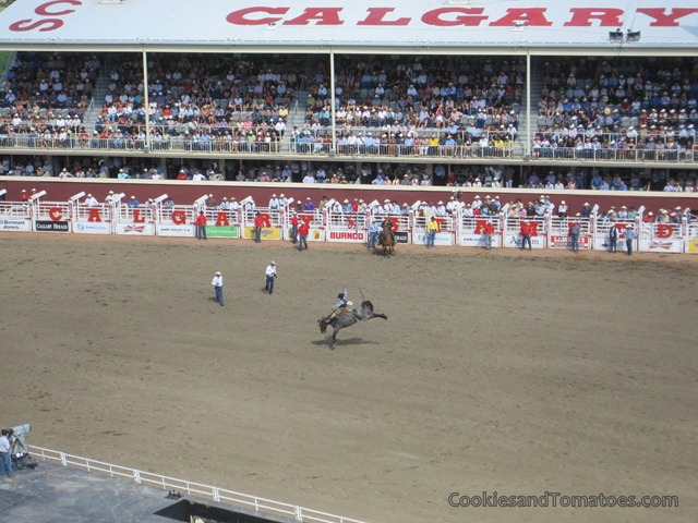 [Stampede-23%255B4%255D.jpg]