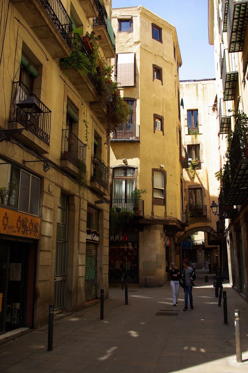 IMGP0623.JPG