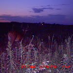 MDGC0392.JPG