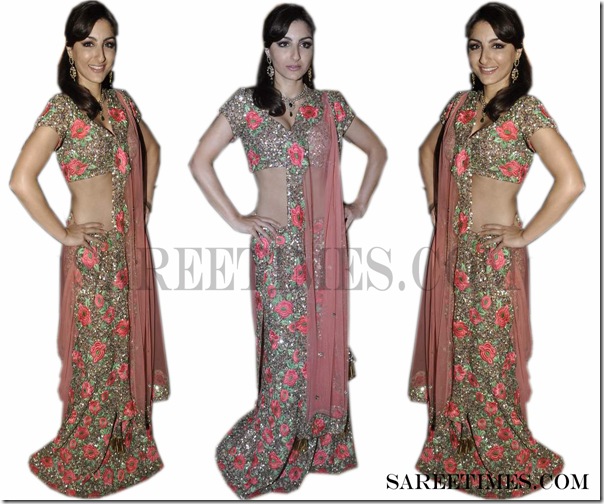 Soha_Ali_Khan_Designer_Saree