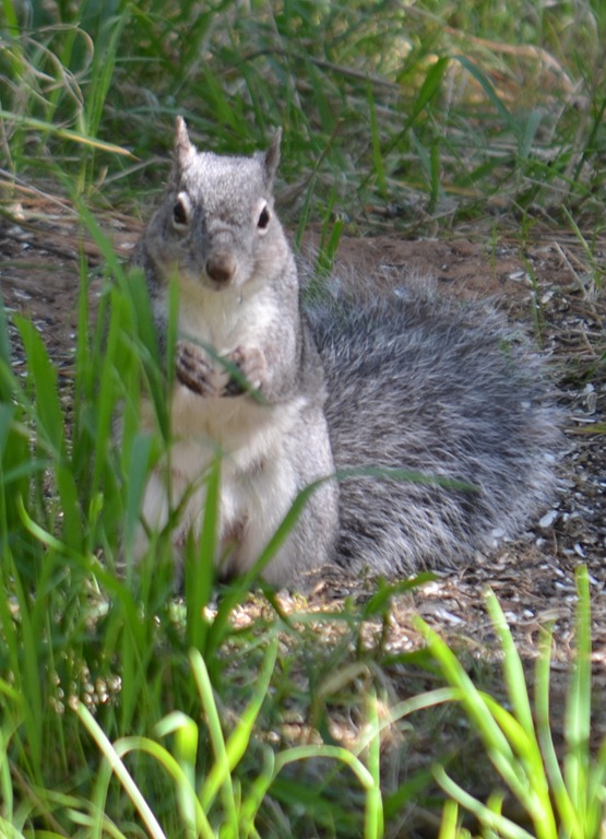 [DSC_0120%255B4%255D.jpg]