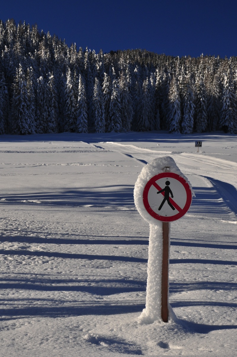 DSC_5995.jpg DSC 5995