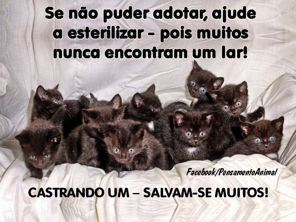 [castrar1%255B3%255D.jpg]