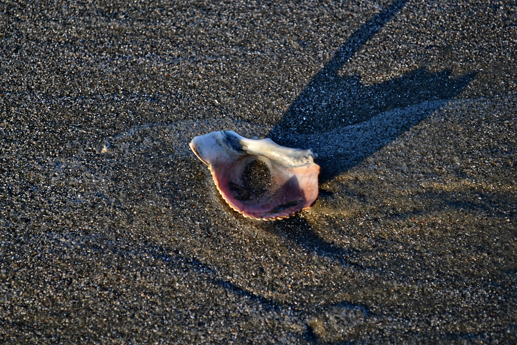 [DSC_0234_edited-14.png]