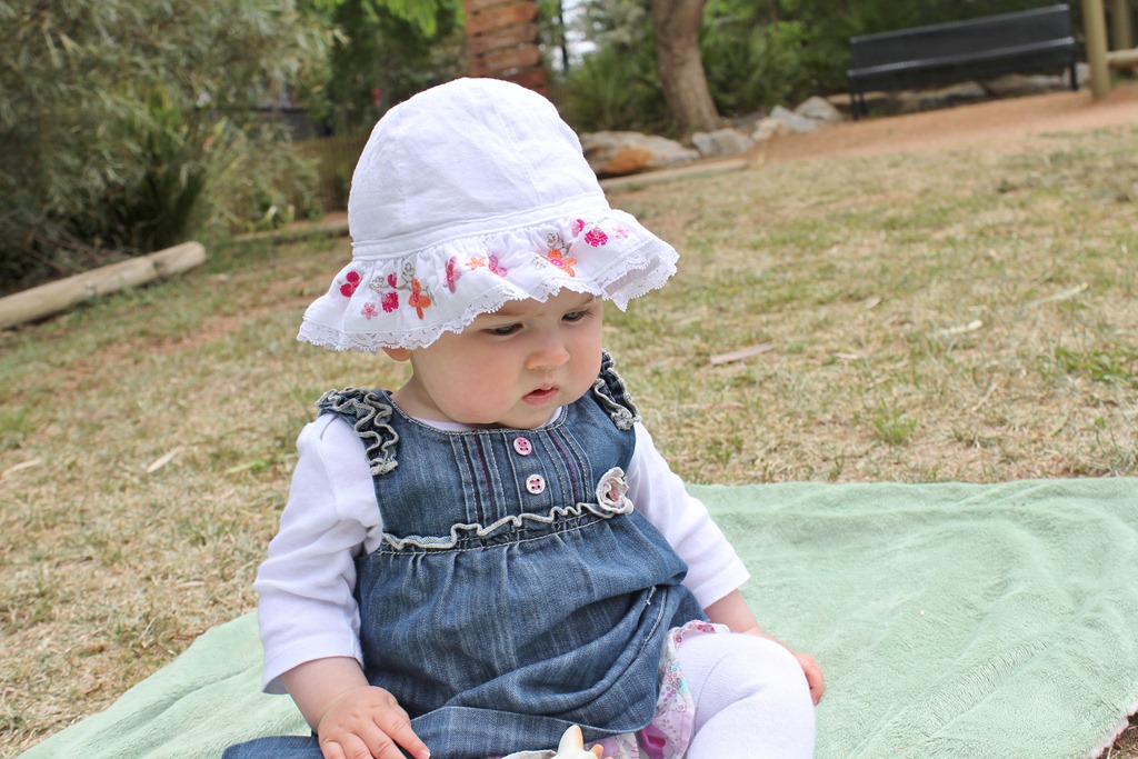 [IMG_3766%255B4%255D.jpg]