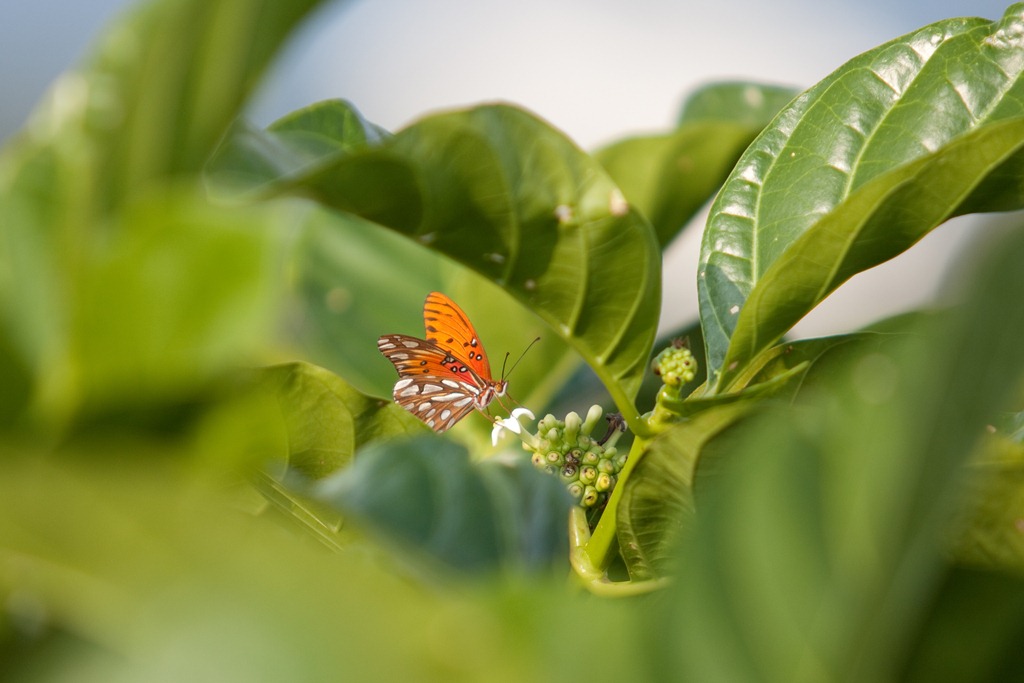 [20121212-IMG_18964.jpg]