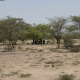 IMGP1125.JPG