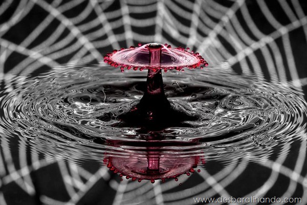 liquid-drop-art-gotas-caindo-foto-velocidade-hora-certa-desbaratinando (204) liquid-drop-art-gotas-caindo-foto-velocidade-hora-certa-desbaratinando (204)