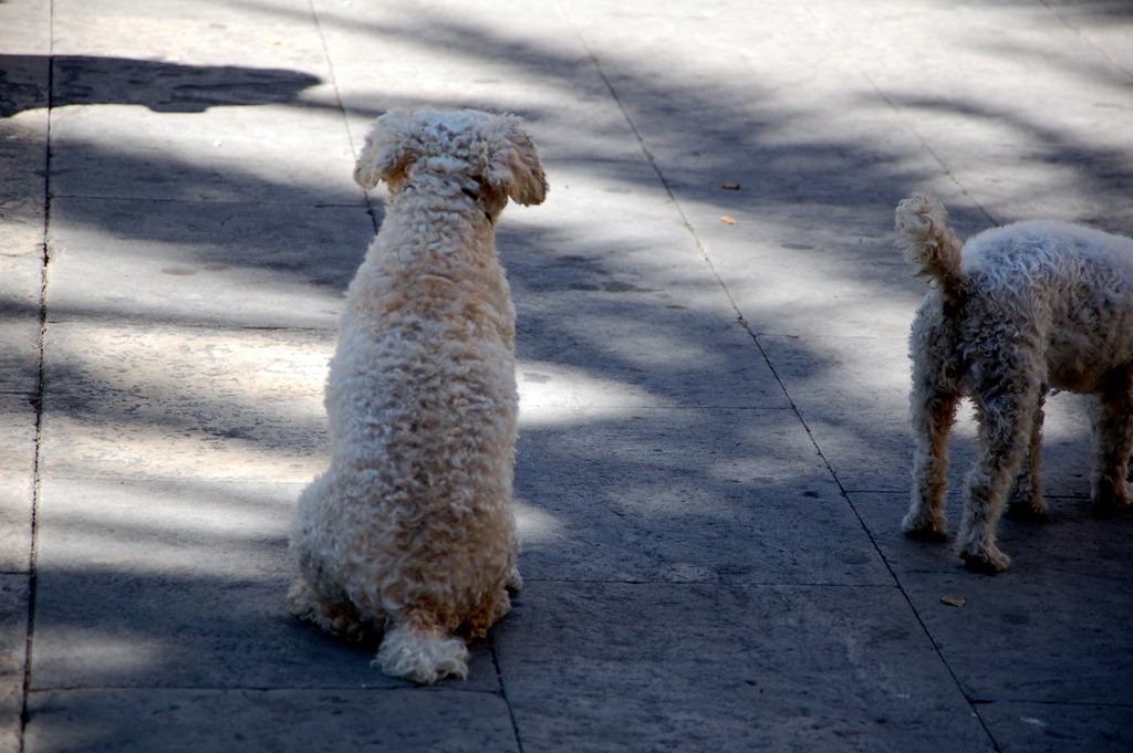 [DSC_0269%255B4%255D.jpg]