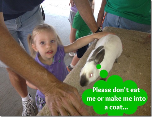 ellierabbit ellierabbit