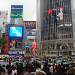 shibuya crossing in Shibuya, Japan 