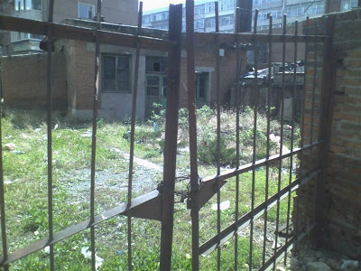 05220937 (Medium).jpg