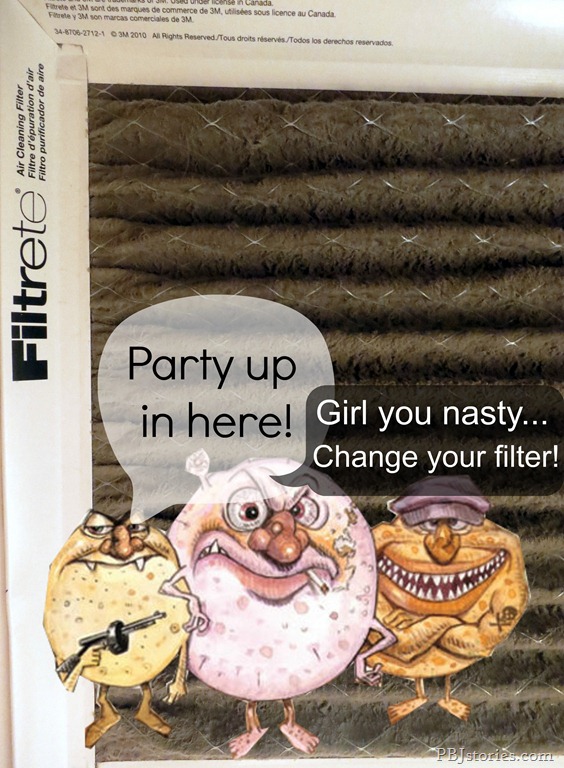[Nasty-old-air-filter3.jpg]