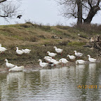 IMG_1584.JPG