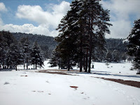Valle enfrente  del refugio