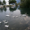 P6300058.JPG