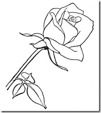 rose001