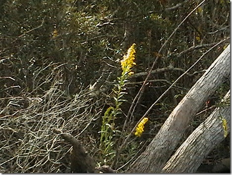 IMGA0667 IMGA0667