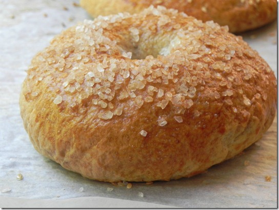whole-wheat-sea-salt-bagel-2 whole-wheat-sea-salt-bagel-2