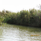 IMG_7951.JPG