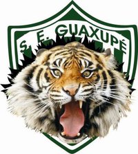 Esportiva precisa da vitória em Guaranésia neste domingo para se reabilitar na Copa Record