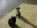 IMG_20101226_124434.jpg