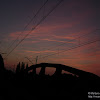 dsc04019.jpg