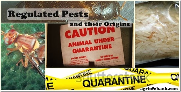 Regulated Pests and their Origins Regulated Pests and their Origins