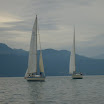 S6300356.JPG