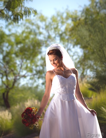 [DesertDancerIMG_56622.jpg]