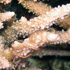 IMG_1160.JPG