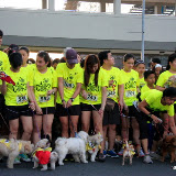 Pet Express Doggie Run 2012 Philippines. Jpg (45).JPG