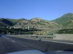 IMG00036-20090726-1851.jpg