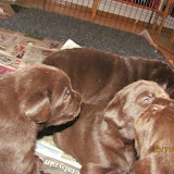 IMG_1494.JPG