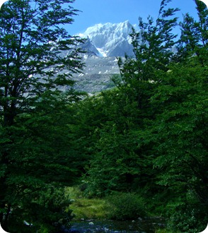 Vista da montanha Punta Bariloche do Cerro Paine Grande durante a trilha Pehoé-Grey Vista da montanha Punta Bariloche do Cerro Paine Grande durante a trilha Pehoé-Grey
