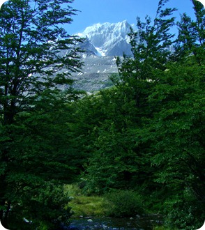 Vista da montanha Punta Bariloche do Cerro Paine Grande durante a trilha Pehoé-Grey