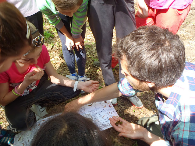 Za poznáním přírody lužní krajiny 12-13 (13).JPG