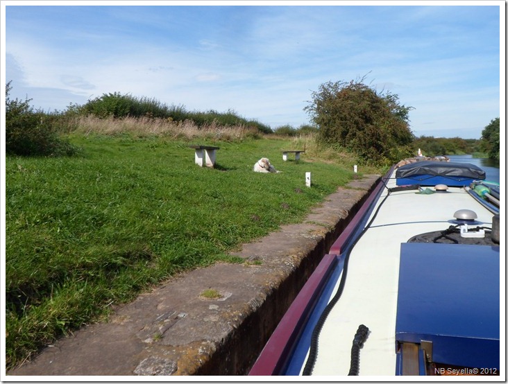 SAM_2967 Mooring Gateforth Landing SAM_2967 Mooring Gateforth Landing