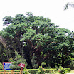20060819_22_kenting_114.jpg