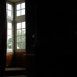 DSC_8572.JPG