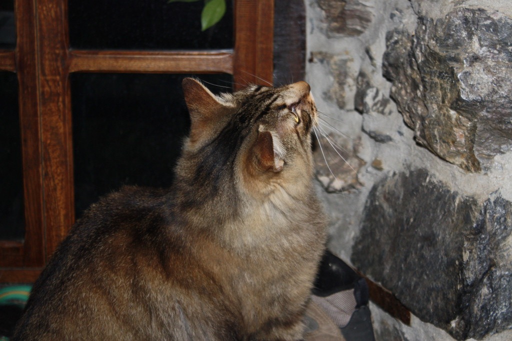 [IMG_5984%255B3%255D.jpg]
