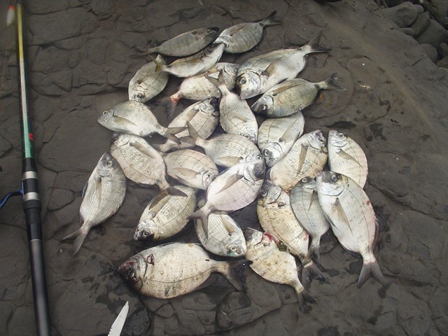 [DSC02055%255B4%255D.jpg]