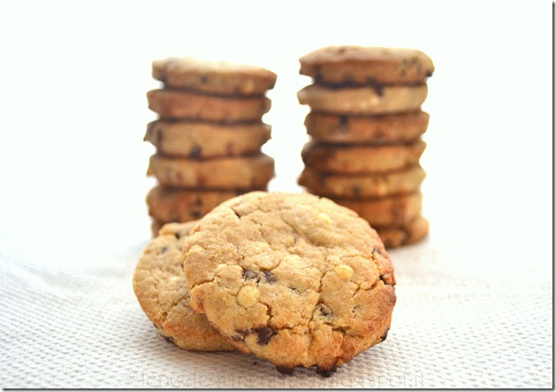 biscotti di farro al doppio cioccolato