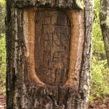 IMAG0143.jpg