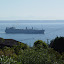 511 Root - DSC07280.JPG
